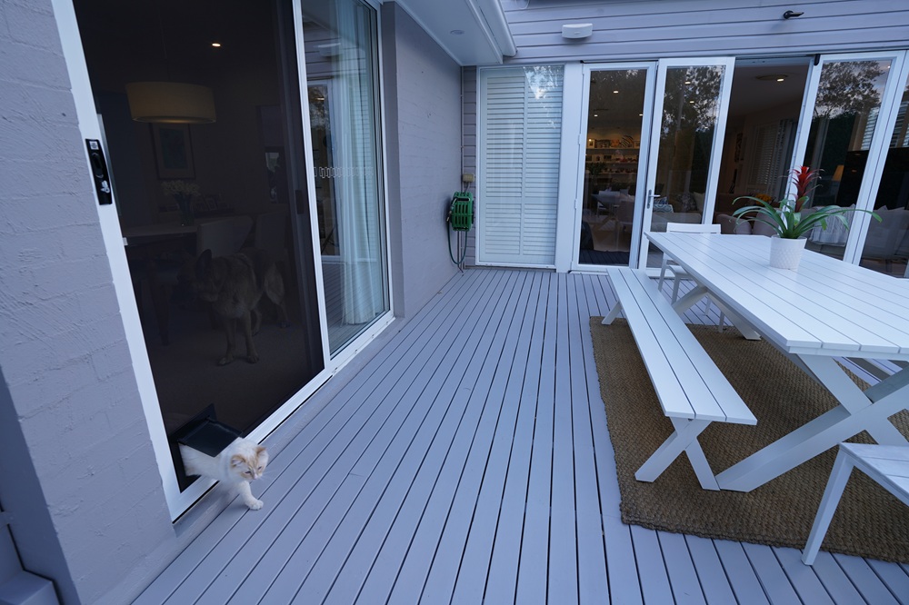 Cat coming through Petway pet door installed in Prowler Proof ForceField security door